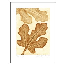 Pernille Folcarelli Fig 2 Ochre 30x40 cm