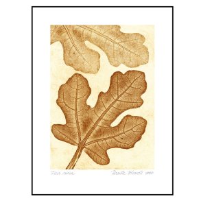 Pernille Folcarelli Fig 2 Ochre 30x40 cm