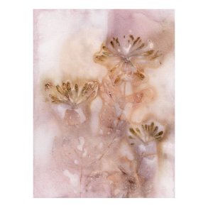 Pernille Folcarelli Honeysuckle 2 Golden/Rose 30x40 cm