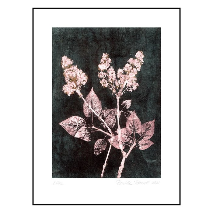 Pernille Folcarelli Lilac 2 Blush/Dark Green 30x40 cm