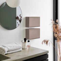 ReCollector Mini Box Fungi Brown