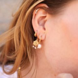 Sistie Coco reringe Forgyldt