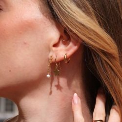 Sistie Skyla reringe Stjerne Forgyldt