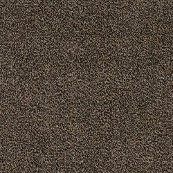 Skriver Collection Drmtte Mrk Beige - 50x75 cm 