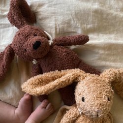 Sleeping Hero Hund med Kappe