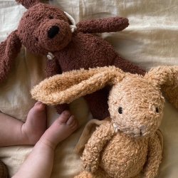 Sleeping Hero Kanin med Kappe