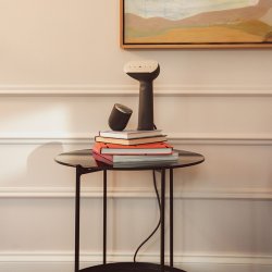 Steamery Cirrus Icon Handheld Steamer Charcoal