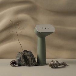 Steamery Cirrus 3 Iron Steamer - Sage