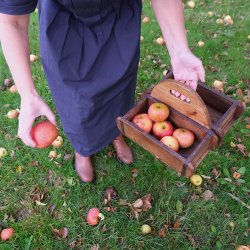 Trademark Living Frilo Tr�kurv m/ Hank