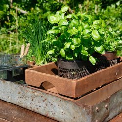 Trademark Living Indore Stor Jernbakke