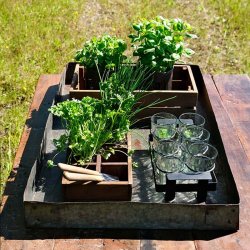 Trademark Living Indore Stor Jernbakke