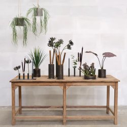 Trademark Living Line Lysestage Lav