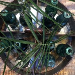 Trademark Living Agustin Rund Jernkasse