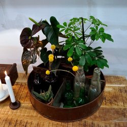 Trademark Living Agustin Rund Jernkasse