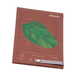 Uhmm Box - No. 02 Transparent Box/Mint Strap - 10x12 cm.