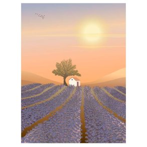 ViSSEVASSE Danmark Plakat - Lavender Field 