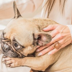 House of Vincent Fingerring - Asger - Beige Agate