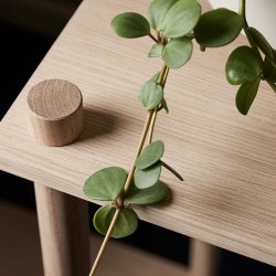 Woud Elevate Reol System 12 Eg